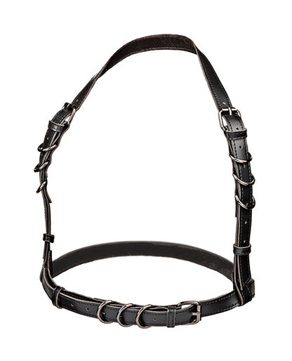 Black halter buckle harness with adjustable straps and metal ring front belt