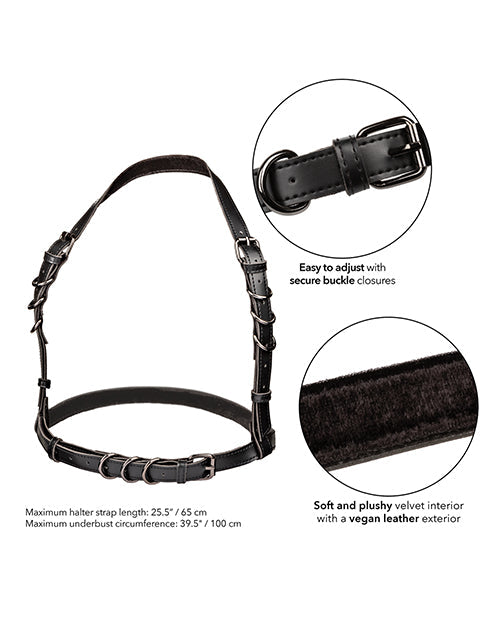 Black halter buckle harness with adjustable straps and metal buckle closures