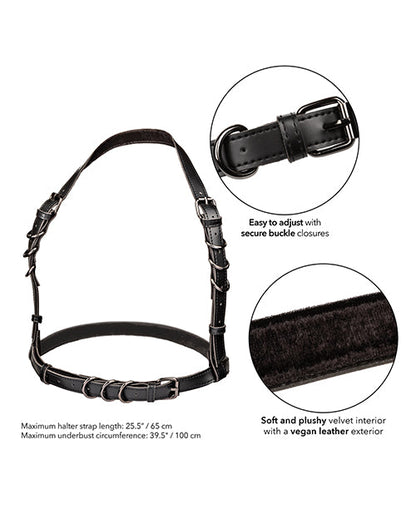 Black halter buckle harness with adjustable straps and metal buckle closures