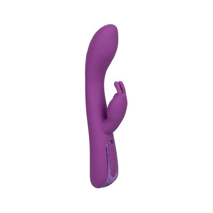 Purple rabbit-style vibrator with curved shaft and small inner nub