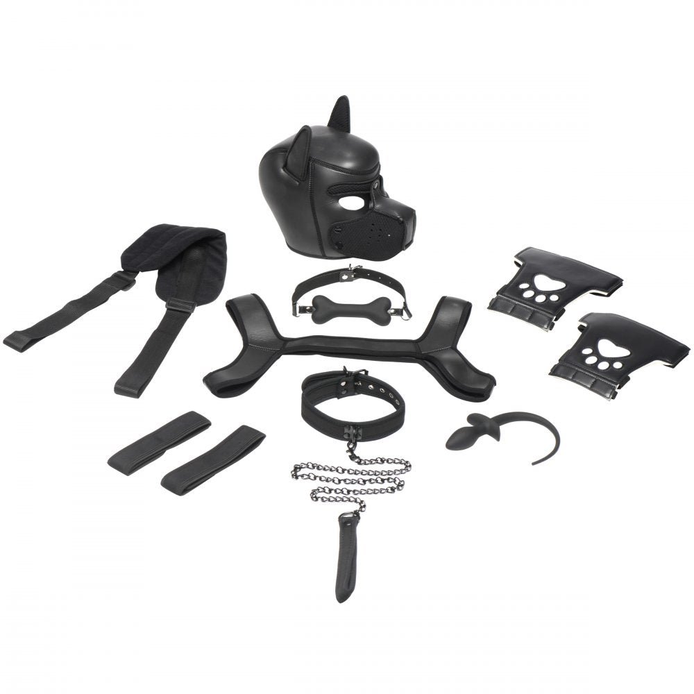 Black pet gear kit flat lay with face mask, collar, gloves, straps, chain, and gag