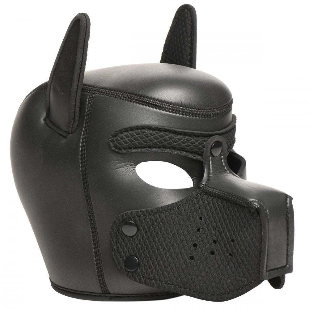 Black neoprene pup hood with padded chin section and adjustable neck strap