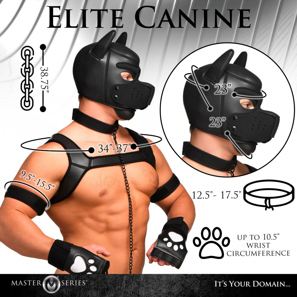 Black pet-themed face mask and harness set with adjustable straps and paw gloves