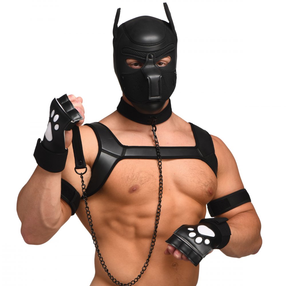 Black pet-themed face mask, chest harness, chain leash, and paw gloves