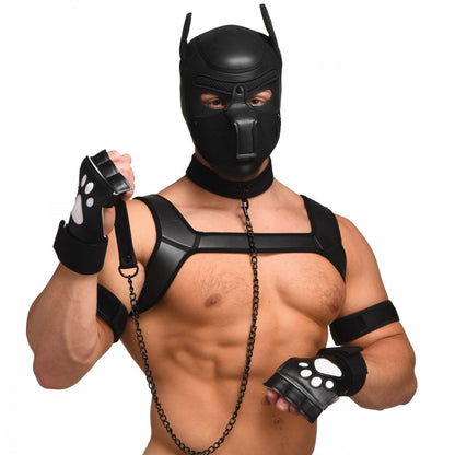 Black pet-themed face mask, chest harness, chain leash, and paw gloves