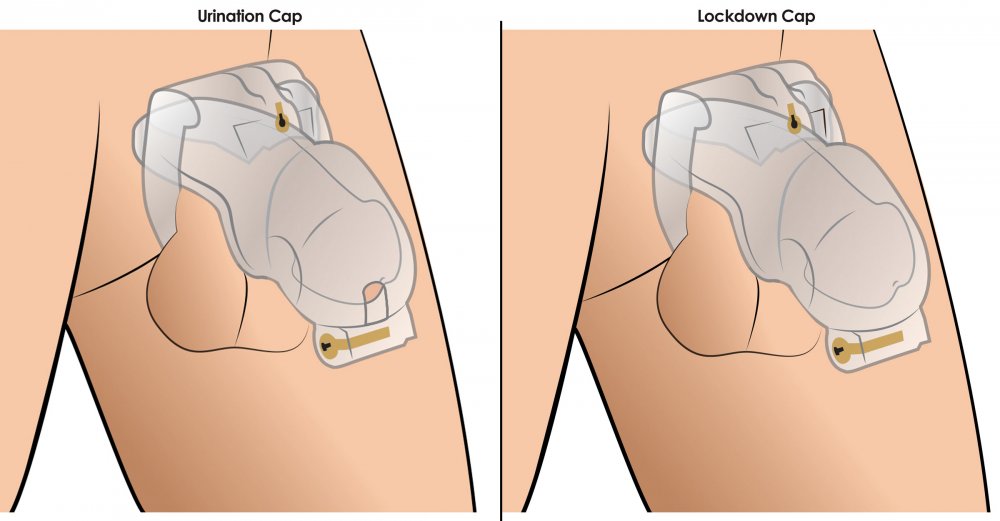 Master Series Lockdown Customizable Chastity Cage With 4 Rings